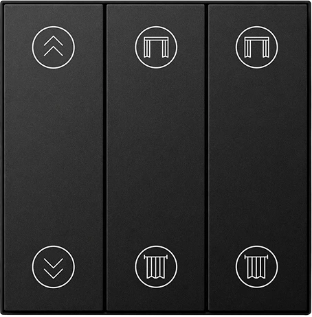 6 Button