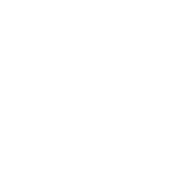 High Security - Wohnux Smart Home
